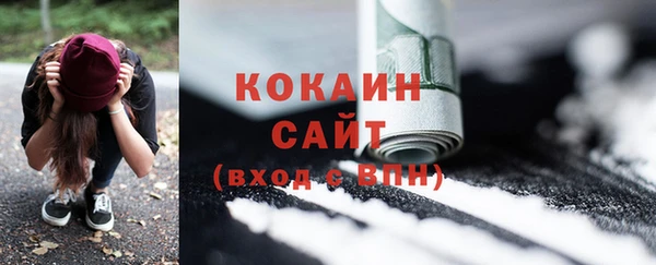 прущие грибы Балабаново