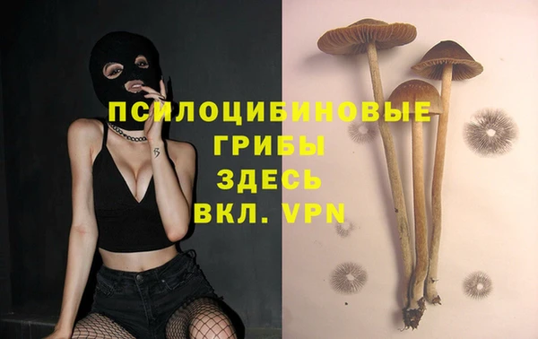 mix Протвино