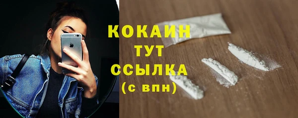 прущие грибы Балабаново