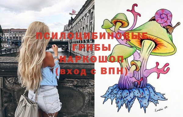 прущие грибы Балабаново