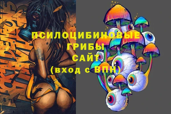 прущие грибы Балабаново