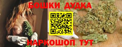 индика Пыть-Ях
