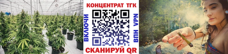 купить закладку  Сегежа  Дистиллят ТГК концентрат 