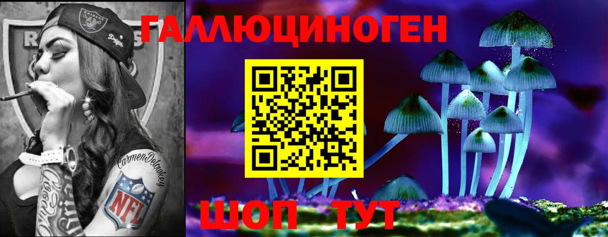 Псилоцибиновые грибы Psilocybine cubensis  Вход с VPN  Сегежа 