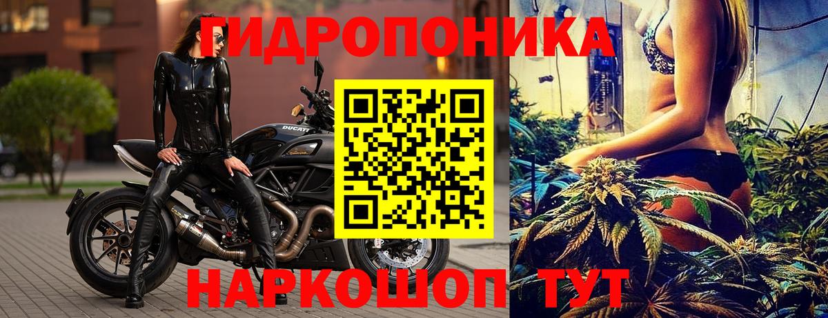 Канабис ГИДРОПОН  Шишки марихуана MAZAR  Сегежа  Конопля конопля  Конопля тримм  Вход с VPN 